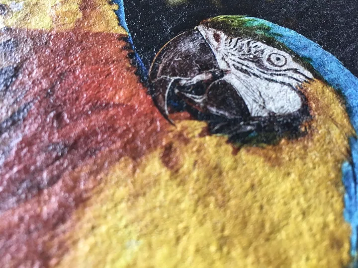 Farbiges Papageienmotiv auf strukturierter Oberfläche
